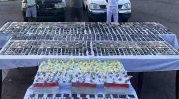 ضبط تشكيل عصابي بجنوب سيناء بحوزته مواد مخدرة تتجاوز قيمتها 3 مليون
