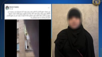 كشف ملابسات تداول فيديو تعدي جدة على أحفادها في القاهرة