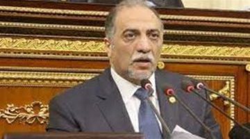 663 مليون جنيه.. “النواب” يوافق على أكبر موازنة في تاريخ المجلس القومي للمرأة