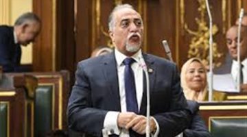 بعد دعم الرئيس السيسي.. البرلمان يرفع موازنة ذوي الإعاقة 20% للعام الجديد