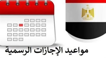 122 يوم راحة في السنة.. هل المصريين من أكثر شعوب العالم إجازة؟