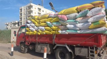 البحيرة تواصل توريد محصول القمح المحلي لموسم 2025