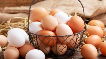 سعر الطبق داخل المزارع يصل إلى 120 جنيهًا