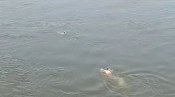 غامر بحياته.. سائق ميكروباص ينقذ شابا حاول إنهاء حياته غرقا بمياه النيل ببنى سويف