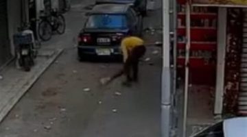 شخص يقـ تل قطة ببورسعيد بطريقة وحشية.. وموجة غضب تجتاح الأهالي| تفاصيل