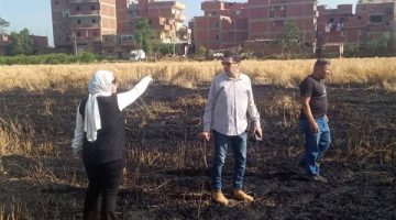 حريق يلتهم محصول قمح بالمنوفية دون خسائر بشرية