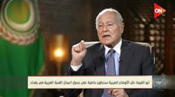 وزراء خارجية مصر والأردن والسعودية والبحرين يتحركون عالميا كثيرا لدعم فلسطين