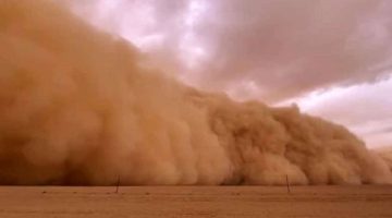 العاصفة “شيماء” تثير القلق بين المواطنين وهيئة الأرصاد توضح الحقيقة