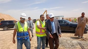 رفع كفاءة منظومة الطاقة.. وبرجي عبور قناة السويس نواة لربط كهربائي عربى