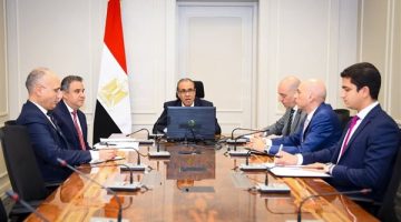 وزير الخارجية والهجرة يعقد اجتماعاً افتراضياً مع رؤساء البعثات المصرية بالخارج