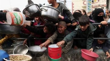 صورة تحكي مأساة شعب.. القاهرة تحتضن وجع غزة بعدسة مصوريها