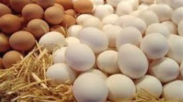 سعر كرتونة البيض اليوم الخميس 15 مايو 2025