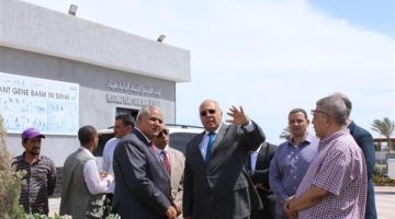 “بحوث الصحراء” ينظم ورشة عمل تدريبية للشباب الافريقي بمحطة رأس سدر
