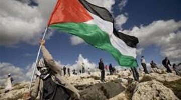 مصر قدمت دوما الدعم للقضية الفلسطينية