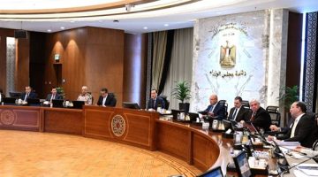 توريد 1.4 مليون طن قمح.. والمالية تصرف المليارات الثلاثة الخاصة بمحصول القطن