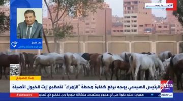 المقر الجديد لمحطة “الزهراء للخيول” أنشئ بأحدث التقنيات