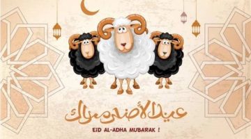 عبارات تهنئة وصور بمناسبة عيد الأضحى المبارك 2025