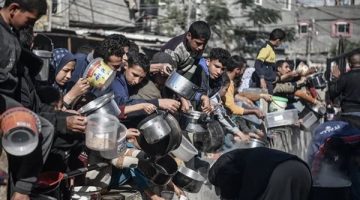 عشائر غزة تناشد إنقاذ الشعب الفلسطيني من المجاعة وتوجه رسالة إلى ترامب.. ماذا قالوا ؟