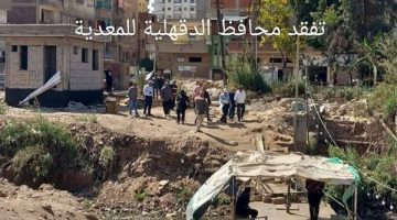 محافظ الدقهلية تعلن الانتهاء من إنشاء كوبري المشاة الجديد المؤقت بطلخا