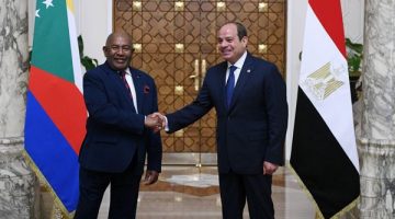 نؤكد دعمنا لمصر في المحافل الدولية إزاء القضايا المشتركة