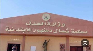 محكمة جنايات دمنهور تحكم بالسجن المؤبد على 4 أشخاص لخطفهم طفلًا وطلب فدية