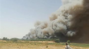 حريق يلتهم الغابات الشجرية في قرية الجبلاو بقنا