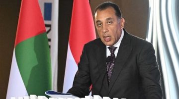 6 مليارات دولار حجم التبادل التجاري بين مصر والإمارات خلال 2024