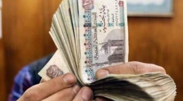 منحة العمالة غير المنتظمة 2025.. دعم مستمر للفئات الأكثر احتياجًا