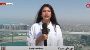 وزير الثقافة يكرّم مينا مسعود ويعلن اختياره ممثلاً للفنون المصرية في الخارج