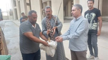توريد أكثر من 113 ألف طن قمح حتى الآن