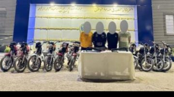 ضبط تشكيلات عصابية متخصصة في السرقات بالوادي الجديد والدقهلية