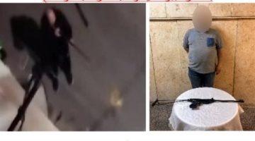 ضبط المتهم والسلاح المستخدم..تفاصيل واقعة إطلاق النار على كلاب ضالة بمصر الجديدة