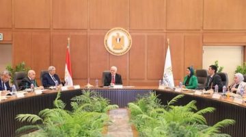 72 تكليفًا مباشرًا نفذته المجالس النوعية لصالح جهات الدولة