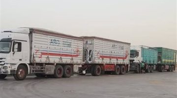 توريد أكثر من 100 ألف طن قمح ضمن موسم حصاد 2025