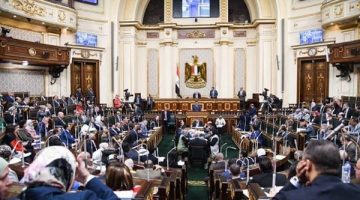 صوت المواطن بالبرلمان.. أميرة أبوشقة تكشف لـ”مصر تايمز” تفاصيل تتمرير تعديل قانون الصيدلة لصالح دفعة 2019