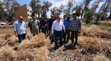 محافظ أسيوط يشارك العمال احتفالات عيدهم ويتفقد حصاد 40 فدان قمح